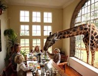 6 dịch vụ kinh doanh độc nhất vô nhị tại Việt Nam