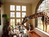 6 dịch vụ kinh doanh độc nhất vô nhị tại Việt Nam